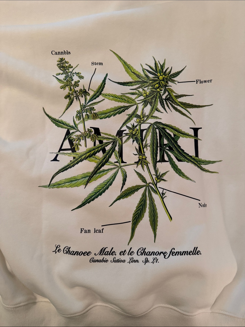 Amiri Sweatshirt